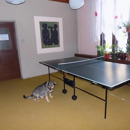 Hermanice 2* Králíky