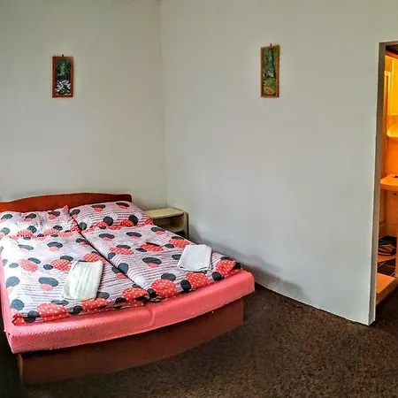 Hermanice Гостевой дом 2*