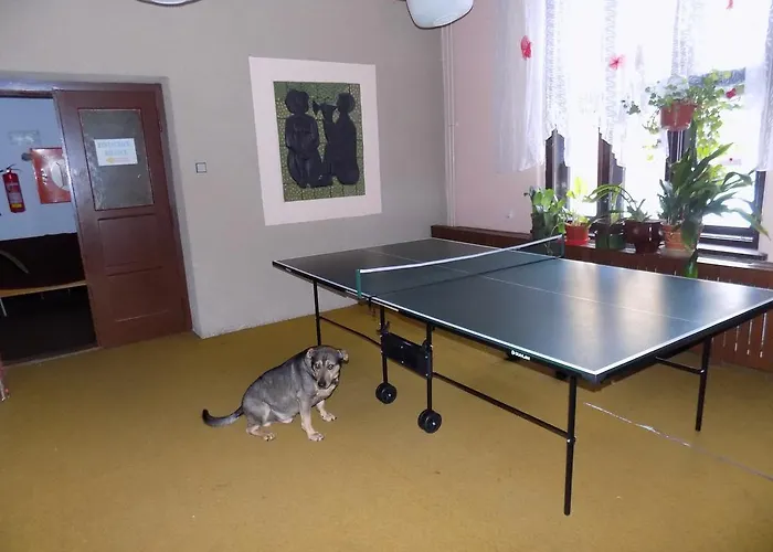 Heřmanice 2* Králíky