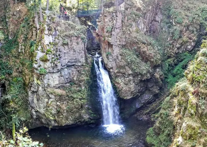 Heřmanice